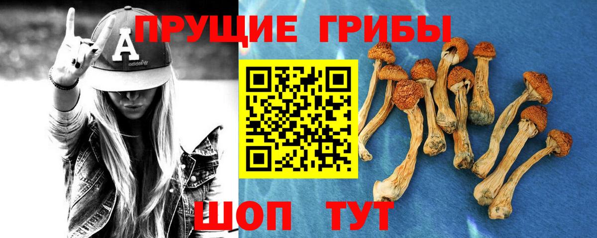 Тельмана  Псилоцибиновые грибы ЛСД  Вход с VPN  Галлюциногенные грибы MAGIC MUSHROOMS 