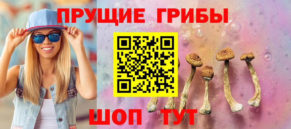 Галлюциногенные грибы GOLDEN TEACHER Тельмана